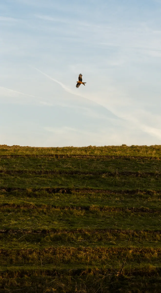img-104s